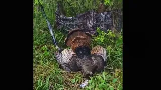 Iowa Spring Turkey Hunt - Triple Beard Jake Killed (4th Season, last day)
