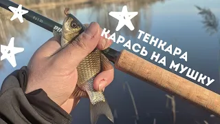 ТЕНКАРА x КАРАСЬ НА МУШКУ x ВЕСНА НА БОЛОТАХ #82