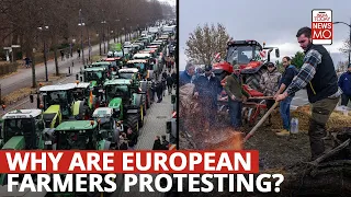 European Farmers Protest: Why Are Agriculturists Marching, Blocking Roads, Dumping Slurry In Paris?