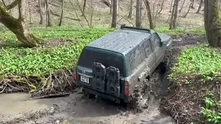 Весеннее Обострение... МОНСТРЫ В ЛЕСУ