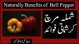 shimla mirch ke fayde aur nuksan |شملہ مرچ کے گھریلو فوائد |benefits of bell peppers