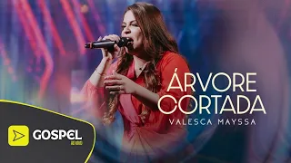 Valesca Mayssa | Árvore Cortada [Ao Vivo no Show da Todah 10 Anos]