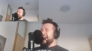 SERJ TANKIAN - Sky is over (vocal cover)