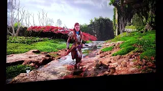 Horizon Forbidden West PS5! HDR SETTINGS for a superb picture quality!