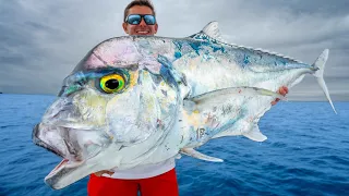 Most PRIZED Deep Sea Fish... Catch Clean Cook (African Pompano)