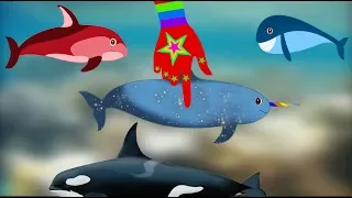 Magic Hand Makes 10 Whales So Cute | Ten Baby Whales | Song For Kids