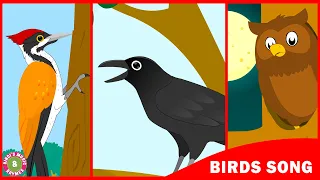 Birds Song | Learn about birds | Toddler Series | Kids song by Bindi's Music & Rhymes