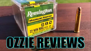 Remington 40gr JHP 22 Magnum Accuracy Test