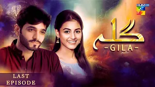 Gila Last Episode 77 [ Wahaj Ali - Anzela Abbasi ] Best Pakistani Serial - HUM TV| Drama Plus pk