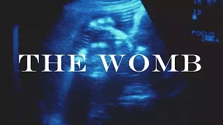 The Womb