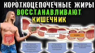 Короткоцепочечные жиры восстанавливают и очищают кишечник