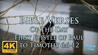 Bible Verses Of The Day: 1 Timothy 6:6-12 KJV Inspiring & Encouraging Devotional Video & Music