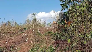 Bulldozer Operator Contenue Clearing Carefully of Risky mountain