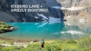 Iceberg Lake Hike + GRIZZLY BEAR SIGHTING in Glacier National Park!