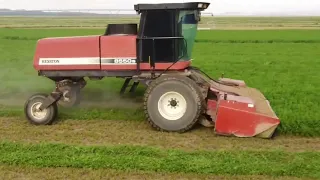 Cutting Alfalfa from 2022