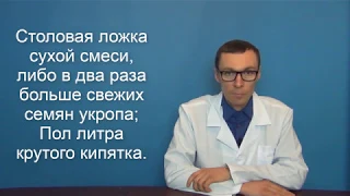 Укроп: польза, противопоказания и применение от гипертонии