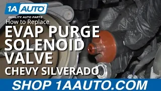 How to Replace EVAP Purge Solenoid valve 14-19 Chevy Silverado