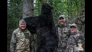 2017 Season | His and Hers Ontario spring Bear Hunt