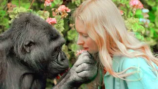 This Gorilla Suddenly Catches This Lonely Girl, What He Did Next Shock The Whole World!