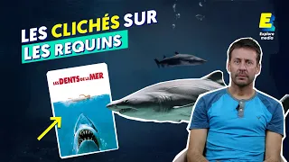 Un spécialiste des requins analyse des scènes de films 🦈 | Science vs Fiction