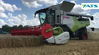 CLAAS TRION 730 | Демотур 2023