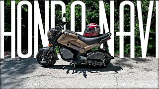 Honda Navi One Month Review