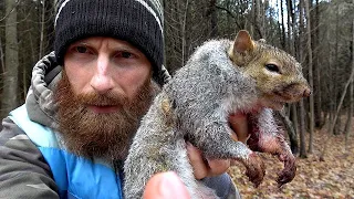 SURVIVAL HUNTING Squirrel in Canada with 22 Rifle | Cook, Eat, Primitive on Fire