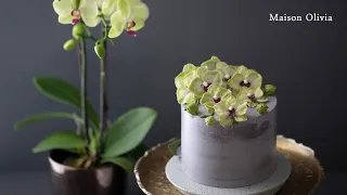 Orchid Cake(Flower Cake). 양란케이크(플라워케이크)