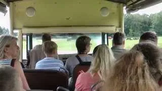 Serengeti Park Hodenhagen - Safari Tour