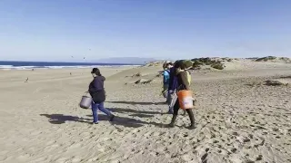 Coastal Cleanup Day volunteers scour S.F. Ocean Beach for litter