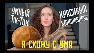 Я схожу с ума! Умный Тик-Ток и красивый коронавирус.