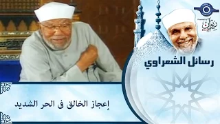 الشيخ الشعراوي | اعجاز الخالق فى الحر الشديد