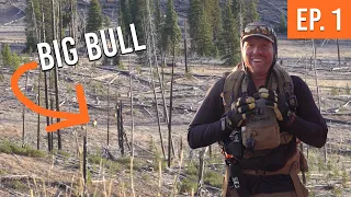 Three Herds or ELK From The Trailhead | Backcountry Elk Hunt (EP. 1)