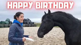 Happy birthday to.... This is a special day! | Friesian Horses