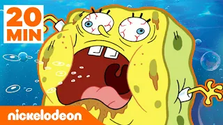 SpongeBob | 20 min lang SpongeBob's meest absorberende momenten | Nickelodeon Nederlands