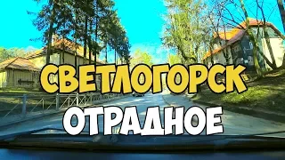 Светлогорск - Отрадное, Калининградская область, новостройки, брусчатка, город в лесу, балтийское