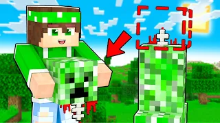 MINECRAFT MA POSSO RUBARE I POTERI AI MOB!