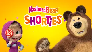 Masha and the Bear Shorties 🤩🤪NEW STORY EVERY WEEK🤩🤪Masha and the Bear 2022