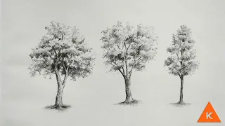 Easy tree sketch step by step