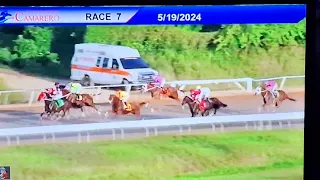 7ma. carrera Hipódromo Camarero 🇵🇷