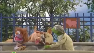 Sesame Street: Favorite Animals at the Children's Zoo | Kermit News
