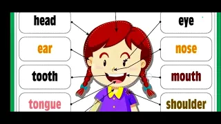 BODY PARTS VOCABULARY FOR KIDS