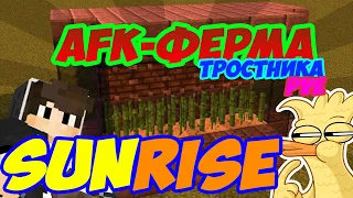 Afk-ферма тростника💥SunRise💥PVE💥