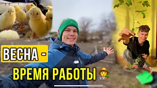 ТЕПЛЫЕ ВЕСЕННИЕ БУДНИ В ДЕРЕВНЕ🏡Случился побег🐰 САДОВО-ОГОРОДНИЕ РАБОТЫ🌱Птичье царство🐥