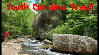 Trout Fishing South Carolina's Little Eastatoe Creek