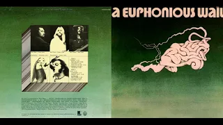 A EUPHONIOUS WAIL - We've Got the Chance