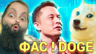 Сумасшедший рост DOGE 3 причины, по которым Dogecoin вырос на 123%  ! BTC