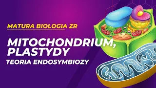 Mitochondrium i plastydy. Teoria endosymbiozy. MATURA BIOLOGIA ZR