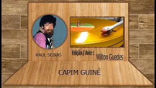 CAPIM GUINÉ - RAUL SEIXAS  (COMPOSIÇÃO: RAUL SEIXAS/WILSON ARAGÃO)