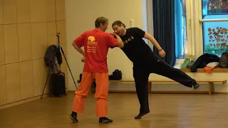 Shaolin Qi Xing Quan Seminar at Shaolin Training Zentrum with Shifu Shi Xing Mi